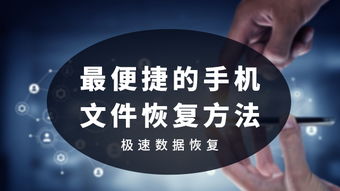苏闪的回响有什么用？深入探讨其意义与实际应用价值