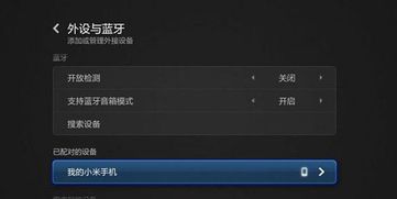 (小米定制音源)小米定制版同步音律功能,让音乐更加个性化和完美匹配 (小米定制音源)小米定制版同步音律功能,让音乐更加个性化和完美匹配