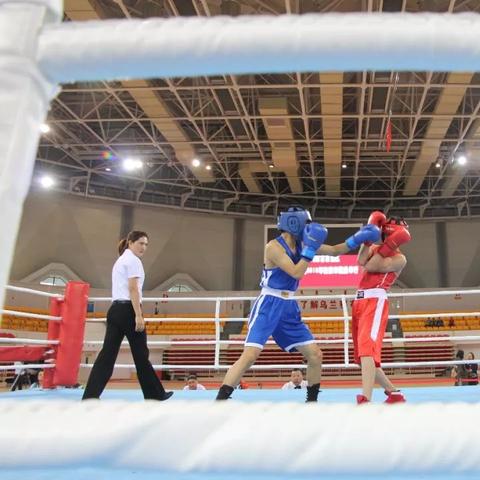 (青少年搏击比赛)决战荣耀青少年搏击赛:挑战未来的拳击之路