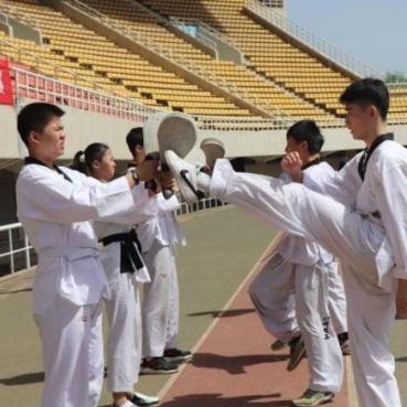 (青少年搏击比赛)决战荣耀青少年搏击赛:挑战未来的拳击之路 (青少年搏击比赛)决战荣耀青少年搏击赛:挑战未来的拳击之路