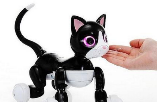 (机器人猫女孩)哪里可以购买猫女机器人?