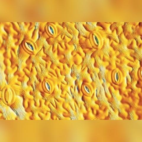 (微观世界:细胞的生存)探寻未知的微观世界:深入细胞世界书中的奥秘和魅力 (微观世界:细胞的生存)探寻未知的微观世界:深入细胞世界书中的奥秘和魅力