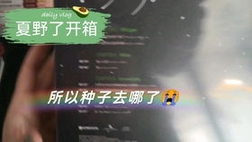 在时光流转中寻找永恒世界保险箱密码:如何保护你最珍贵的秘密?