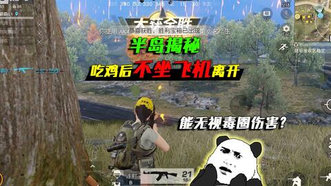 (逃离塔科夫第二集)探险逃离塔科夫2D版：在像素世界中生存与冒险的全新挑战