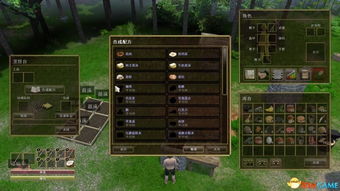 探讨网络热门小游戏《王小屋》20期后任务空窗期现象：游戏体验与玩家留存问题的关联