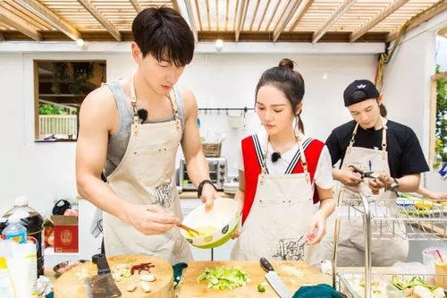 (中餐厅笫二季免费)免费观看中餐厅二季完整版,想必一定很精彩! (中餐厅笫二季免费)免费观看中餐厅二季完整版,想必一定很精彩!