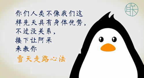 (跳跳企鹅怎么抓)跳跳企鹅在哪抓?如何快速找到跳跳企鹅的最佳方法? (跳跳企鹅怎么抓)跳跳企鹅在哪抓?如何快速找到跳跳企鹅的最佳方法?