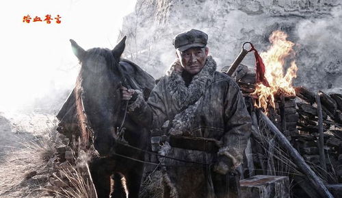 (战争片浴血奋战)二战经典电影浴血壮志凌云：重返战场，感受英雄们的无畏勇气