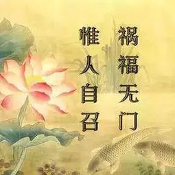 (生活因果报应的句子)揭示生活真相的十句因果最精辟的名言