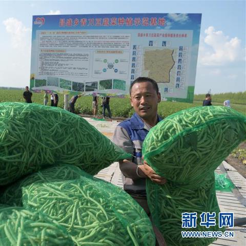 (苹果14.2官网下载)探索苹果iOS 14正式版官网：全新功能详解与下载指南