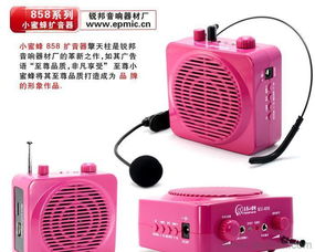 (小蜜蜂扩音器有什么缺点)小蜜蜂扩音器:让声音传得更远,让欢声笑语更加清晰演绎 (小蜜蜂扩音器有什么缺点)小蜜蜂扩音器:让声音传得更远,让欢声笑语更加清晰演绎