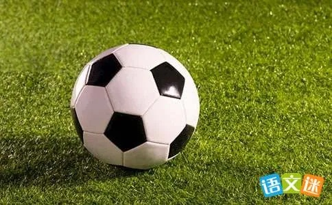 (三年级足球征文300字)追逐足球梦想的三年级生：300天的奋斗与坚持