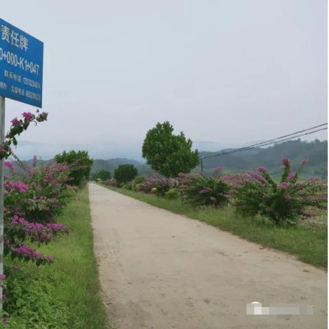 (芒市可以去旅游吗)探析芒市不能去的原因：交通不便是最大障碍。