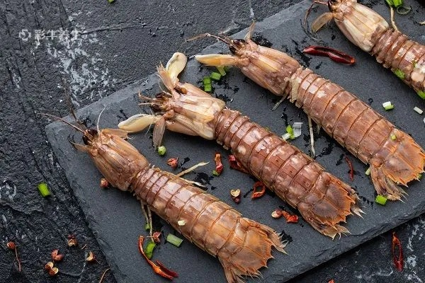 (皮皮虾如何储存)皮皮虾不马上吃怎么存放?存放时要注意哪些方法? (皮皮虾如何储存)皮皮虾不马上吃怎么存放?存放时要注意哪些方法?