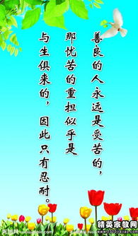 奋斗的名言名句：激励我们勇敢追逐梦想、坚持不懈的智慧箴言合集