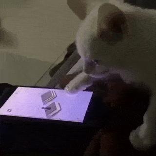 挑战极限！最强跳一跳红包版，挑战跳跃高度赢取丰厚红包奖励！