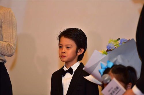 张一山守护者们免费播放引发粉丝狂欢，网友纷纷期待明星们的表现