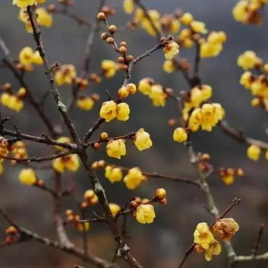 (沧浪手游安全吗)探索沧浪手游网页版的魅力：畅游虚拟世界，体验精彩游戏人生