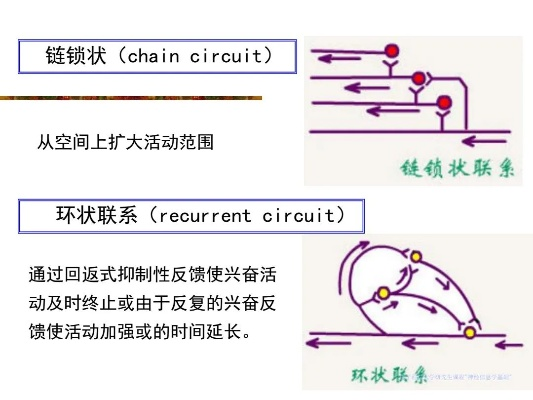 (铁索连环传导顺序)深度探究铁索连环伤害传导规则:原理、应用与潜在影响 (铁索连环传导顺序)深度探究铁索连环伤害传导规则:原理、应用与潜在影响