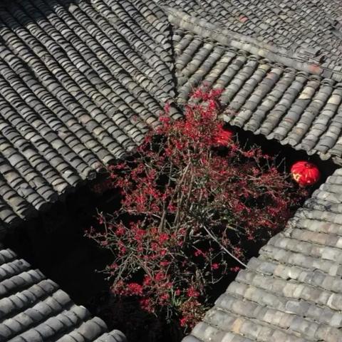 (陶笛曲烟笼长安)在烟笼长安的夜晚,陶笛演奏带你领略古城的韵味与悠扬旋律