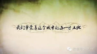 (桃花源记谜语)迷失在桃花源记中:一段难忘的蜜月之旅寻找心灵的净土 (桃花源记谜语)迷失在桃花源记中:一段难忘的蜜月之旅寻找心灵的净土