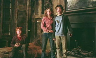 复古回顾:黑与白电影的魅力重现,经典之作令人陶醉,怀旧之情涌现