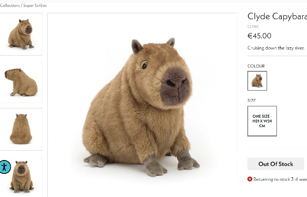 (卡巴拉派)卡皮巴拉多少钱一只?市面价钱如何浮动? (卡巴拉派)卡皮巴拉多少钱一只?市面价钱如何浮动?