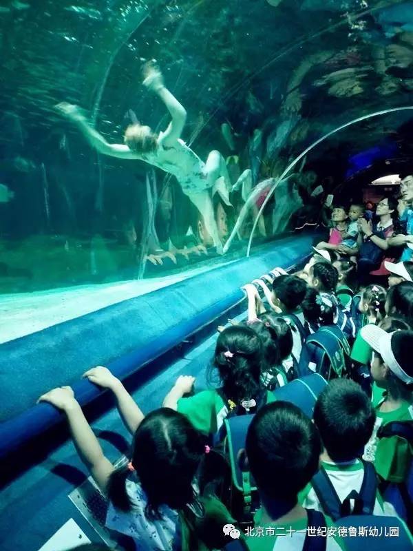 微信版奥丘树海之下攻略:探索海底世界的秘密之旅