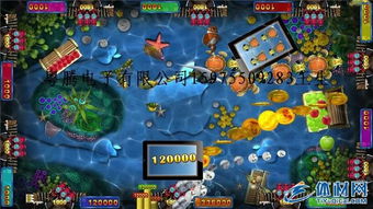 (神捕牌捕鱼器)神手捕鱼技巧大揭秘，一招秒变捕鱼高手，轻松捕到大鱼！