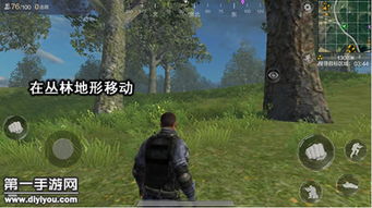 深度解析手游'丛林战役':使用技巧秘籍,详细步骤指南及胜利关键因素透视