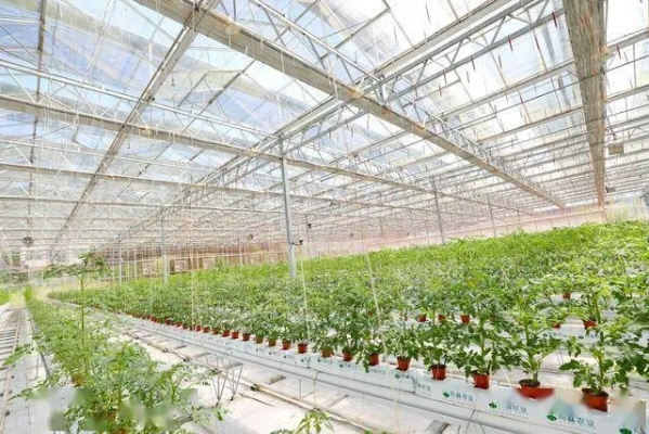 (农业种植频道)央视新闻揭秘农业种植黑科技，揭开现代种植业的神秘面纱