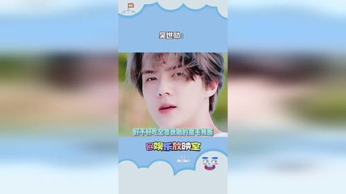 探索萌天天的魅力：这些东西真的太可爱了！