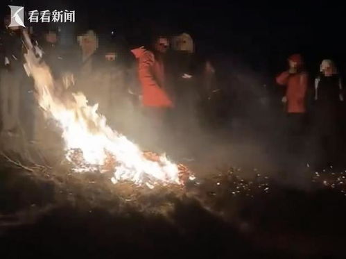 (大牯牛寨山)官方通报游客纵火事件，揭秘大牯牛山火灾背后的真相与影响