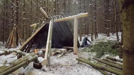 (丛林求生小游戏)丛林求生:开局一座小木屋，探索生存之道并克服重重困难